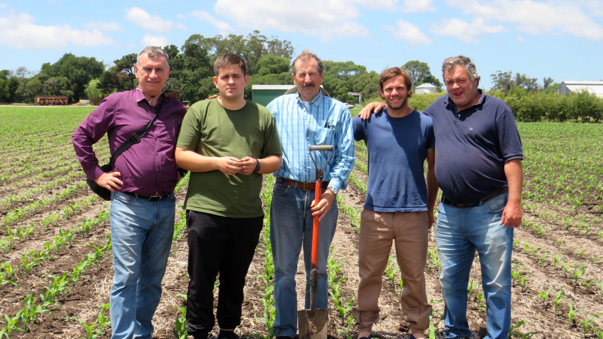 Чернозем и прямой посев. Визит к фермеру на Юге провинции Буэнос Айрес. Картофель и пшеница рядом