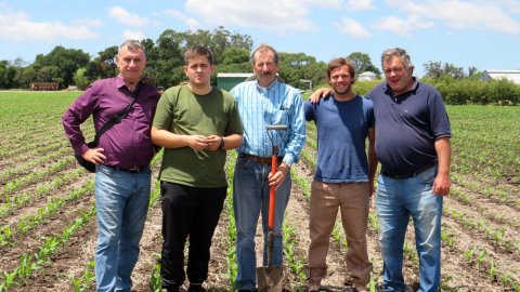Чернозем и прямой посев. Визит к фермеру на Юге провинции Буэнос Айрес. Картофель и пшеница рядом