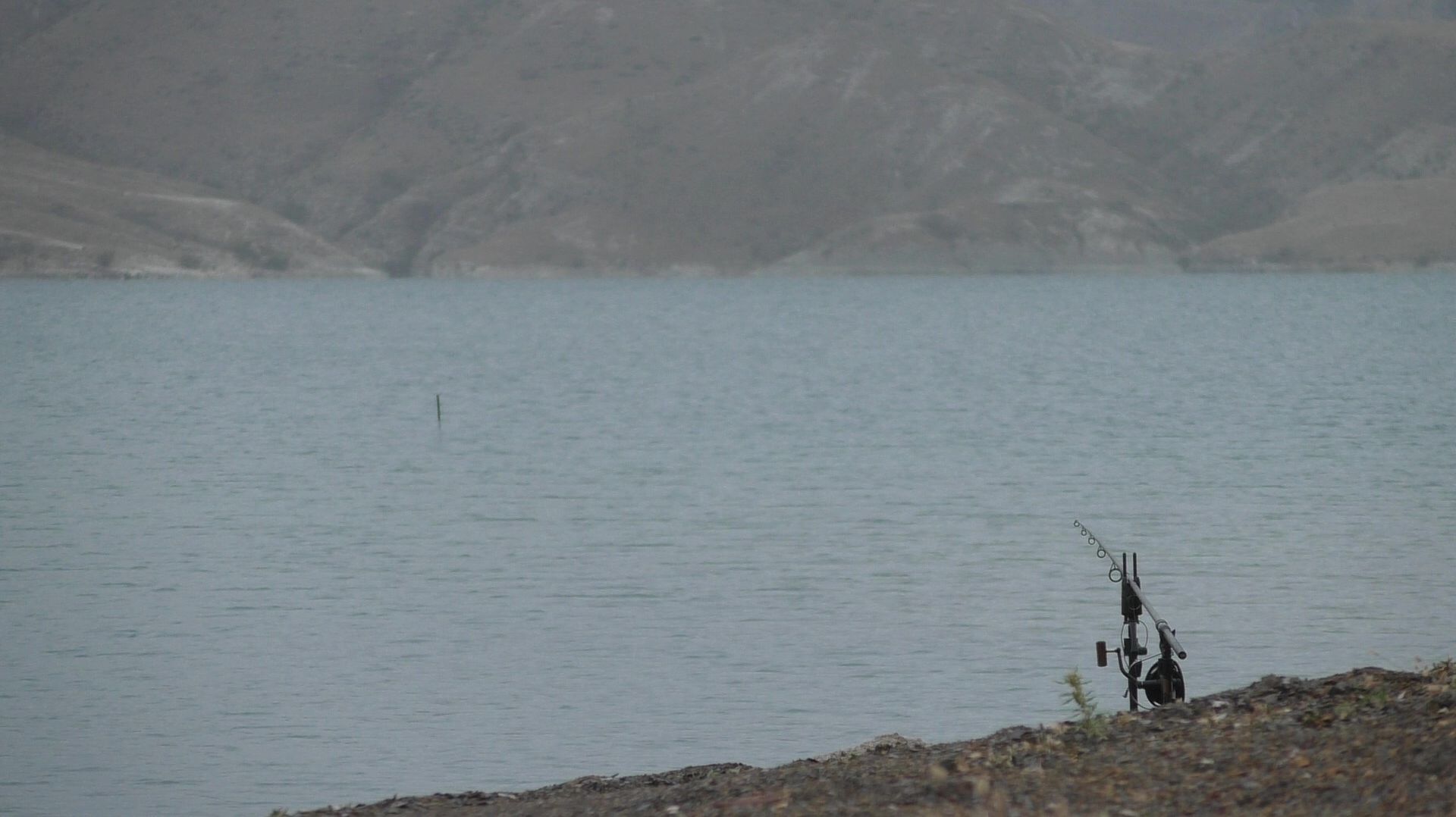 Ловля дикого сазана в завоз с лодки. Чиркейское водохранилище. Сентябрь 2025 год. Первая часть.