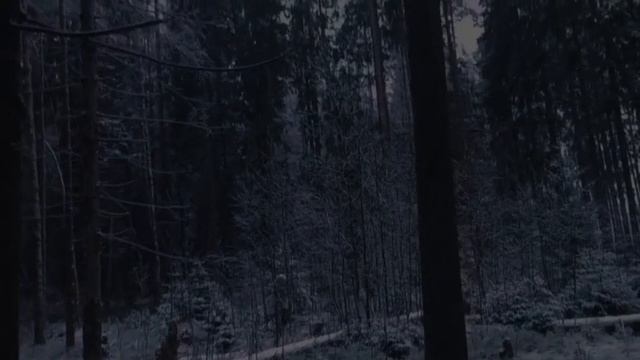 Цитаты про смерть и жизнь