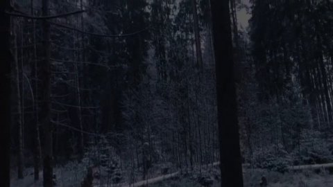 Цитаты про смерть и жизнь