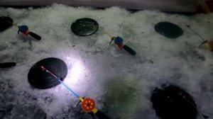 Третья рыбалка в ночь, оз. Аплякское.