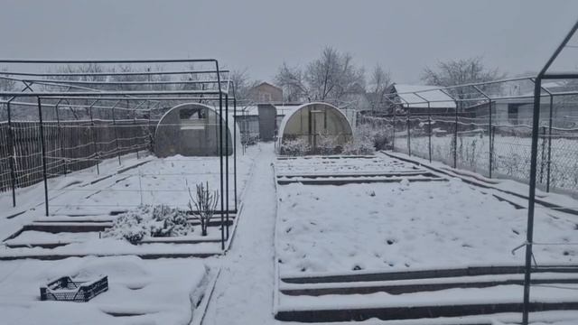 345. Привет из прошлого.