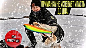 РАЗЛОВИЛ НОВЫЙ ВИБ! ПРИМАНКА НЕ УСПЕВАЕТ УПАСТЬ НА ДНО! ЩУКИ ГРЫЗУТ ПРИМАНКУ!