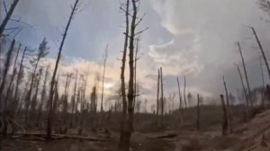 Сводка СВО боецы уничтожили дроны бпла врага