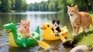 😹Мама кошечка со своими маленькими котятками плавают на воздушных игрушках по воде🔥