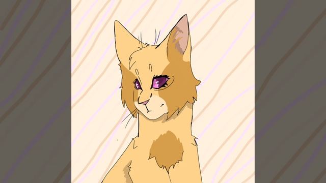 Принимайте заказ