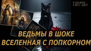 Ведьмы в шоке вселенная с попкорном🔥 🔮 🔥 #таро#tarot#gadanie#онлайн#гадание
