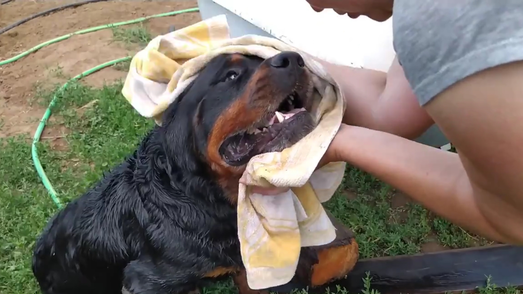 Жара, мошка, Бусемыч открыл сезон купания. Итог прошедшей весны. 48 серия