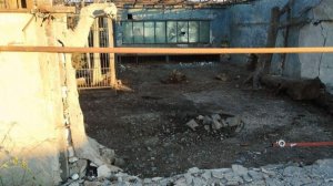 В зоопарке в Запорожской области умер раненный дроном ВСУ лев