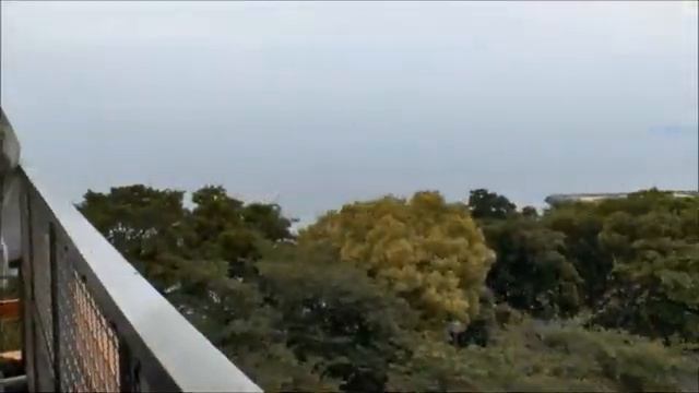 Гитарная музыка54@TheLonelyBand