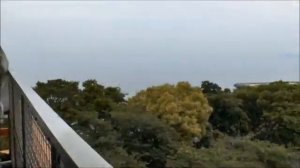 Гитарная музыка５４@TheLonelyBand