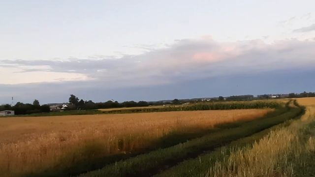 Как на дрожжах растёт/Он выжил/Про жизнь в деревне