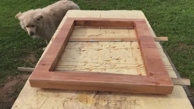 Переделка тумбочки, Ричик как всегда наблюдает