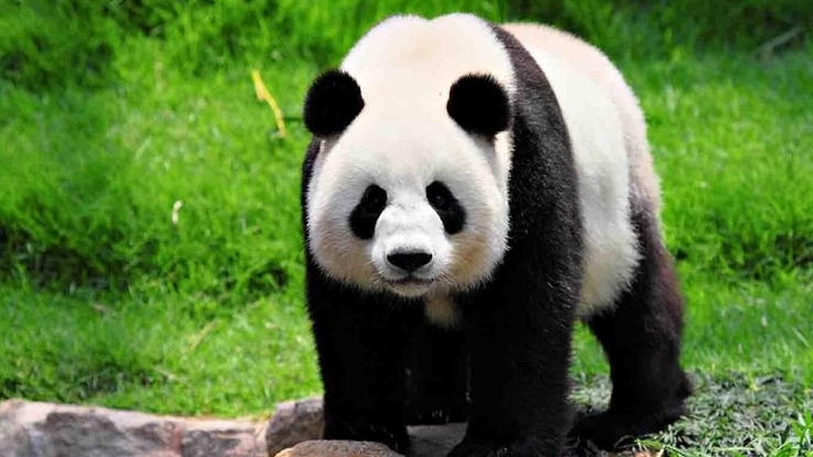 Красная книга России.