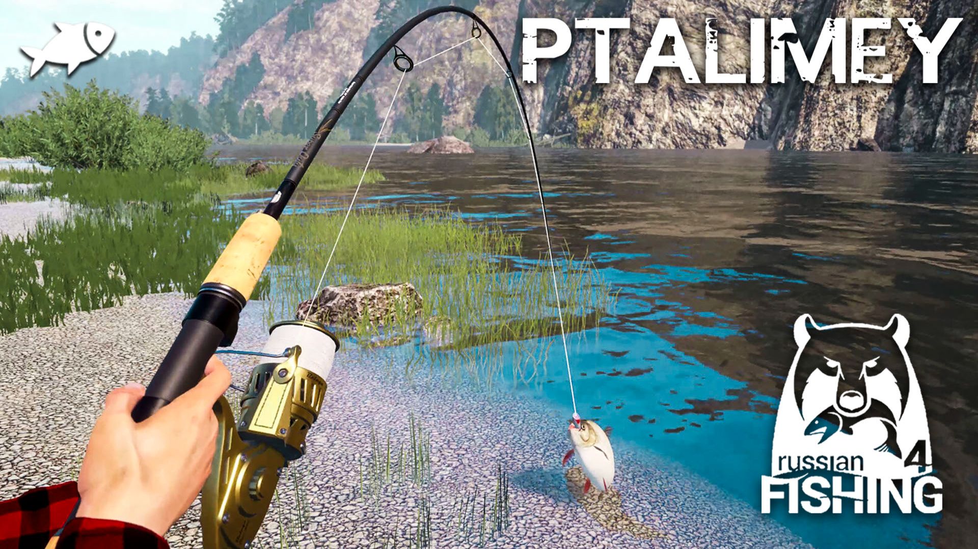 Погоня за трофеем на р. Белая🐟Русская рыбалка 4🐬Russian Fishing 4