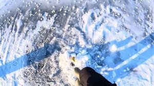 ЗАГАР ЗА ЗАГАРОМ! НАЛОВИЛ ЩУК СРЕДИ КАМЫШЕЙ! РЫБАЛКА НА ЖЕРЛИЦЫ В КАЗАХСТАНЕ!