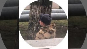 Повара, который снял Макана, курящего в неположенном месте, отправили на гауптвахту