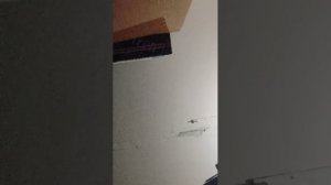 танцы с бубном 9