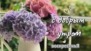 Доброе утро  воскресенье — идеальный день для отдыха