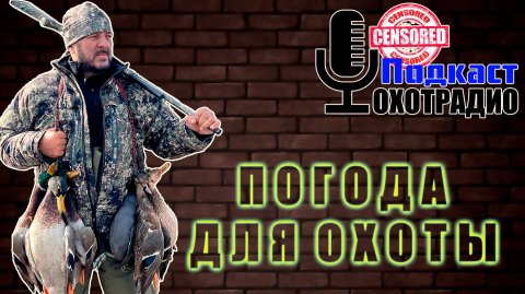 ПОГОДА ДЛЯ ОХОТЫ НА УТКУ КАКАЯ ЛУЧШЕ? 🔴ОХОТРАДИО