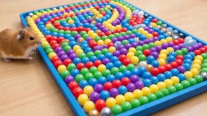 РАЗВЛЕКАТЕЛЬНОЕ ВИДЕО ДЛЯ ДЕТЕЙ