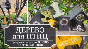 ДЕРЕВО для ПТИЦ - Превращаю ЗАСОХШУЮ ЯБЛОНЮ в птичье дерево - Кормушки - Скворечники