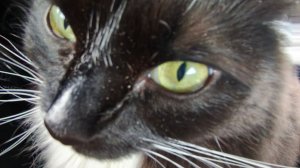 Готовим с выпью в реальности