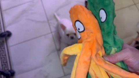 Начали пополнять корзину с подарками.