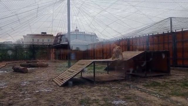 IEWB3668 Видео от Ивана 13.12.2025