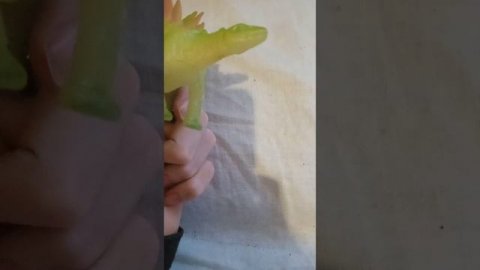 Поздравление от динозаврика Вовы🎄