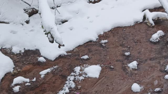 Зимний ручей