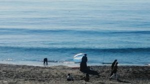 13 декабря И В ДЕКАБРЕ КУПАЮТСЯ. ТУРЦИЯ 2025. #türkiye2025 #alanya #mahmutlar