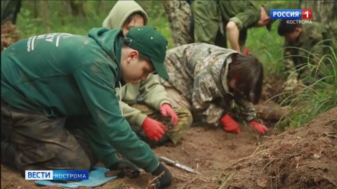 Костромские поисковики подвели итоги «Вахты памяти-2025»