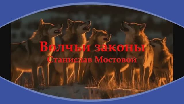 Волчьи законы