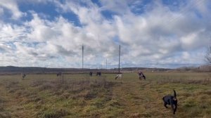 Работа на Ферме. Учёба и планы на будущее | Молодая Ферма