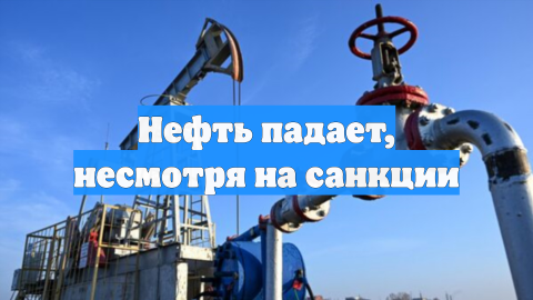 Нефть падает, несмотря на санкции