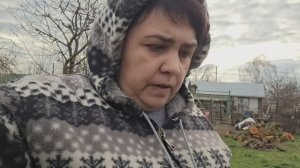 Давно пора убрать свеклу