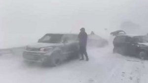 Шесть человек пострадали в массовом ДТП под Пензой