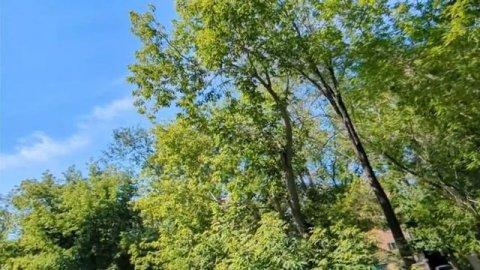 Мачеха выгнала меня из дома,а отец просто молчал.😩🧐💸☠️😈🏡