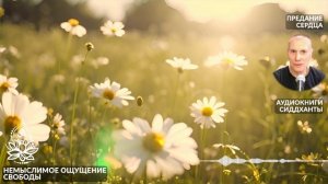 Немыслимое ощущение свободы. Предание сердца. Аудиокниги Сиддханты (Вячеслава Чернина)