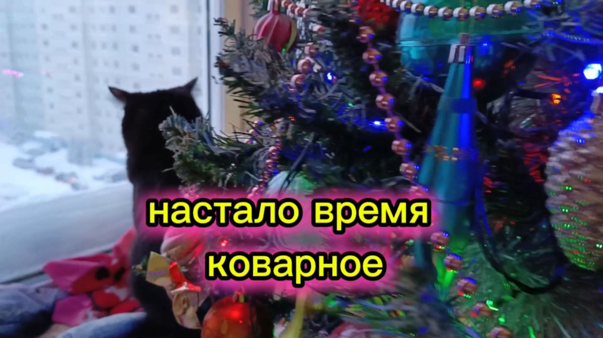 Кошки с озвучкой.