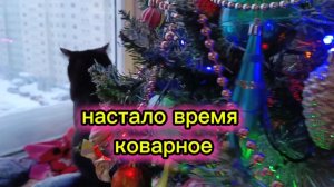 Кошки с озвучкой.