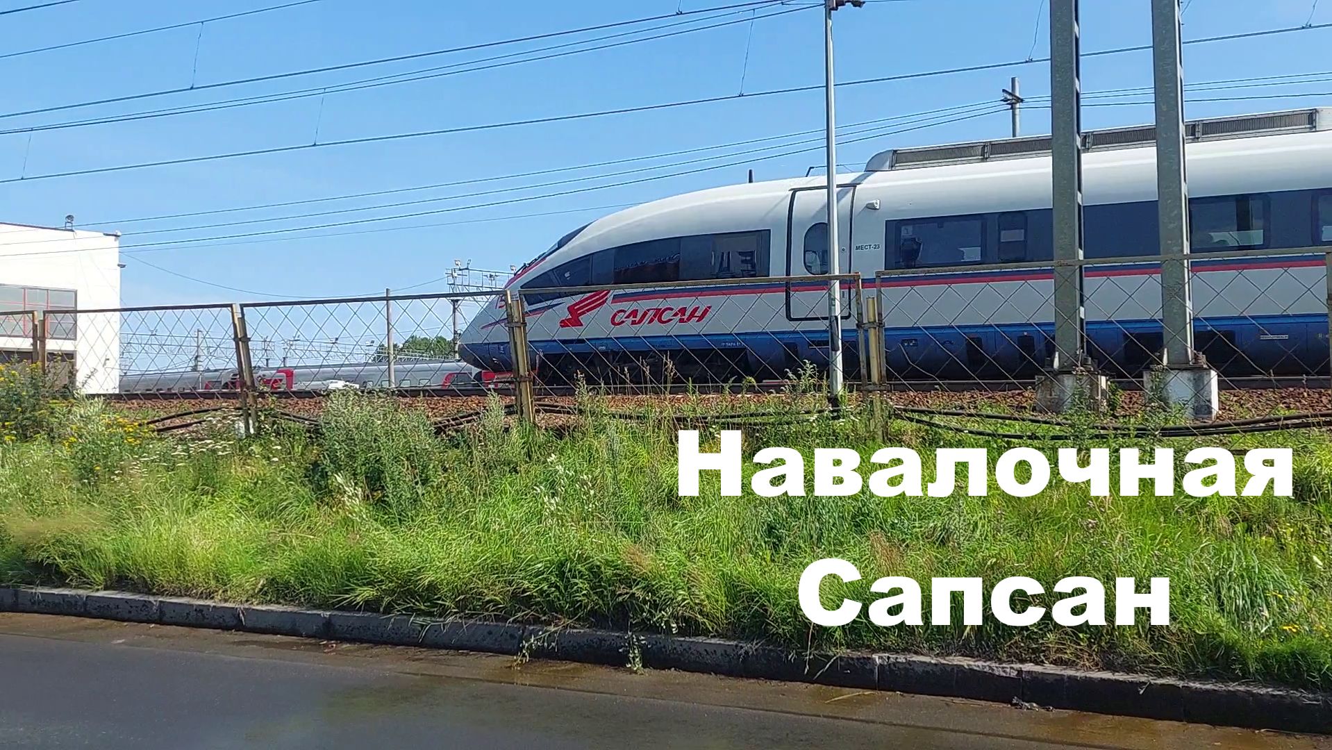 Пролет скоростного поезда Сапсан недалеко от платформы "Навалочная" около Обводного канала