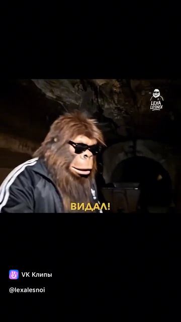 Приколы_Нейросеть