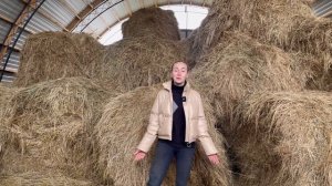 Одна на ферме... Мама уехала отдыхать! Все новости ЛПХ! | Молодая Ферма