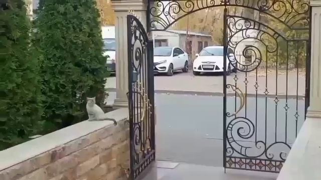 С улыбкой! Это не охранники, это стражи...