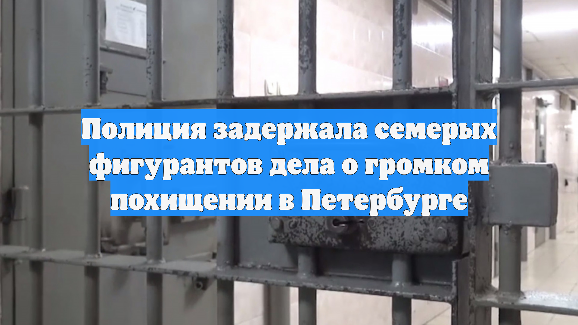 Полиция задержала семерых фигурантов дела о громком похищении в Петербурге