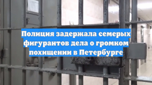 Полиция задержала семерых фигурантов дела о громком похищении в Петербурге