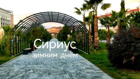 Сириус зимним днём